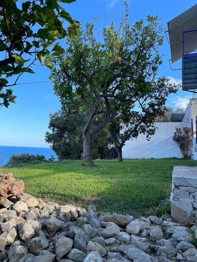 Villa Castle Sea View Паралион-Астрос Экстерьер фото