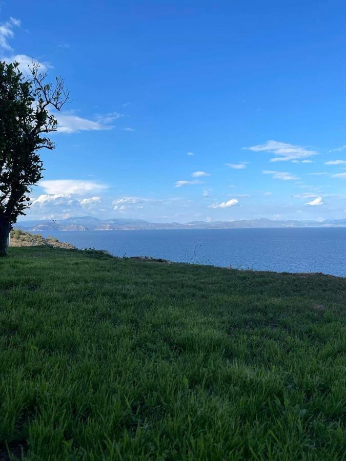 Villa Castle Sea View Паралион-Астрос Экстерьер фото
