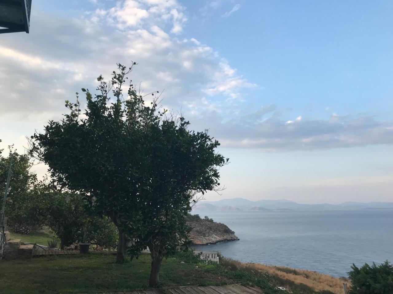 Villa Castle Sea View Паралион-Астрос Экстерьер фото